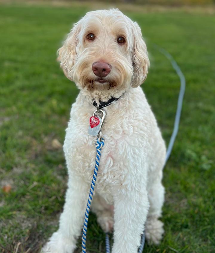 Portrait of Lily