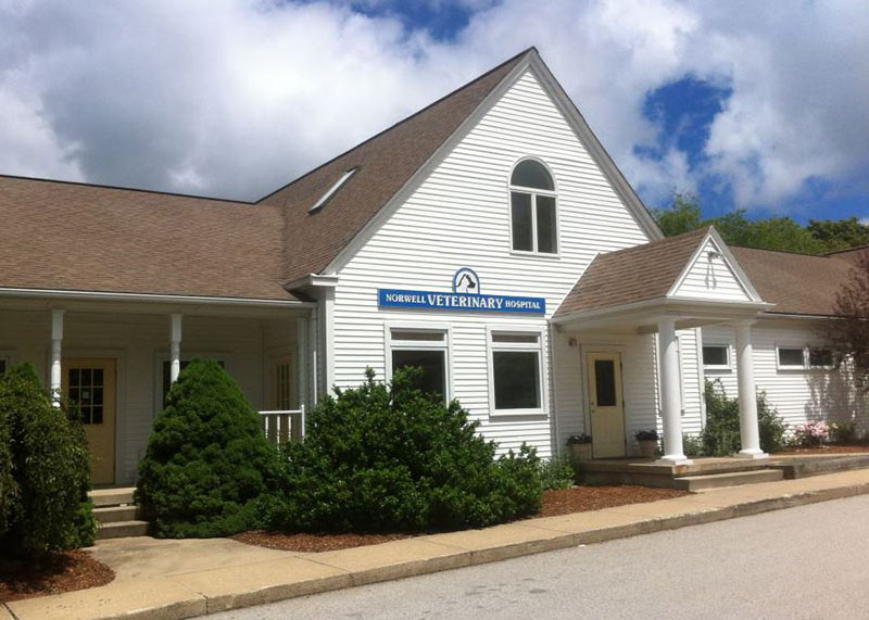 Norwell veterinary hospital