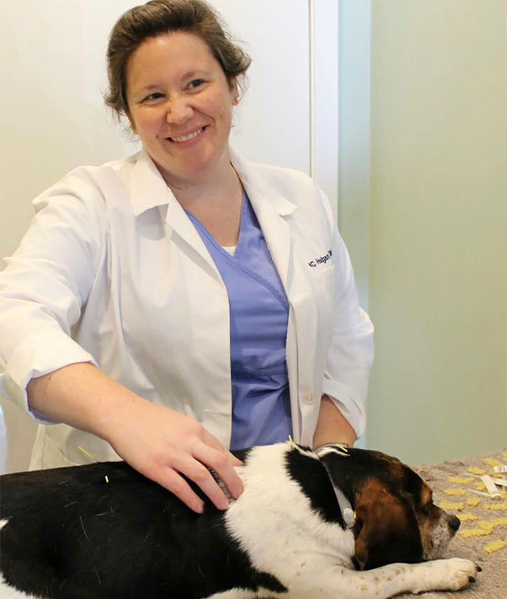 Meet Elizabeth, Lead LVT at Blue Mountain Animal Clinic